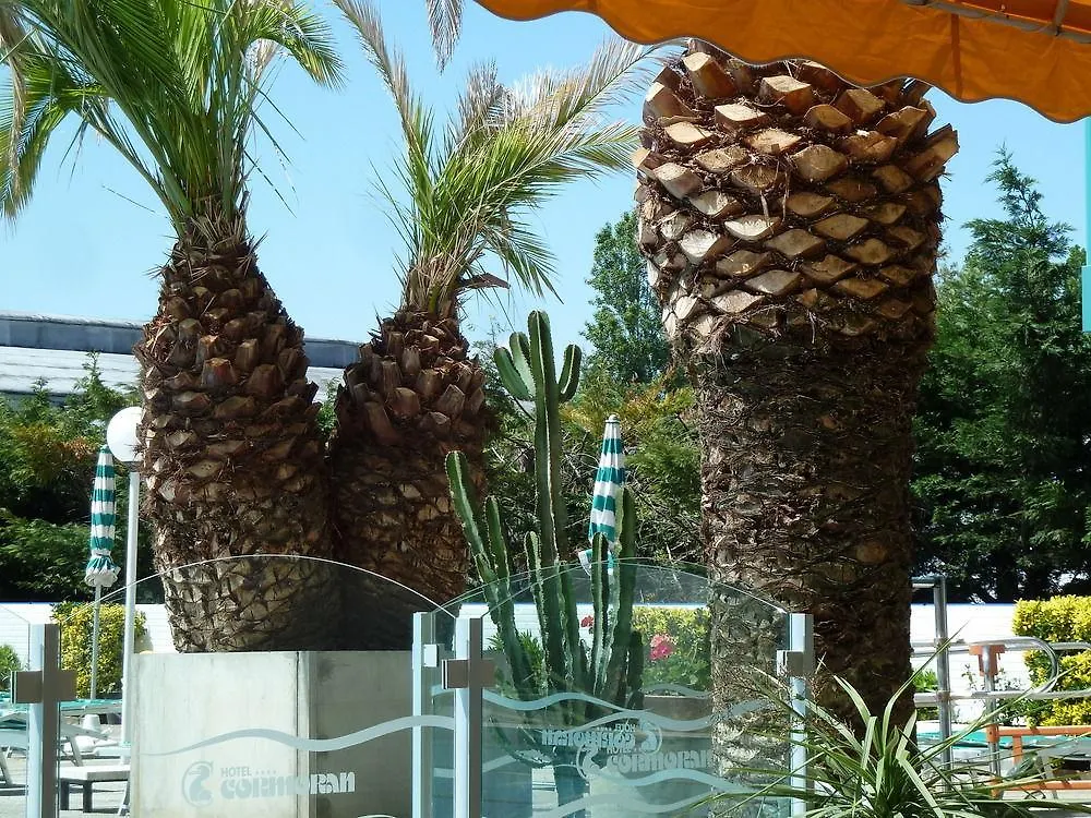 Hotel Cormoran Riccione Italy